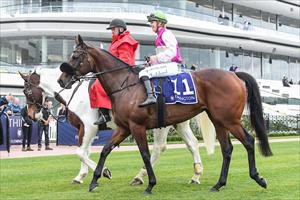 Delicious Tycoon, Flemington, July 2023